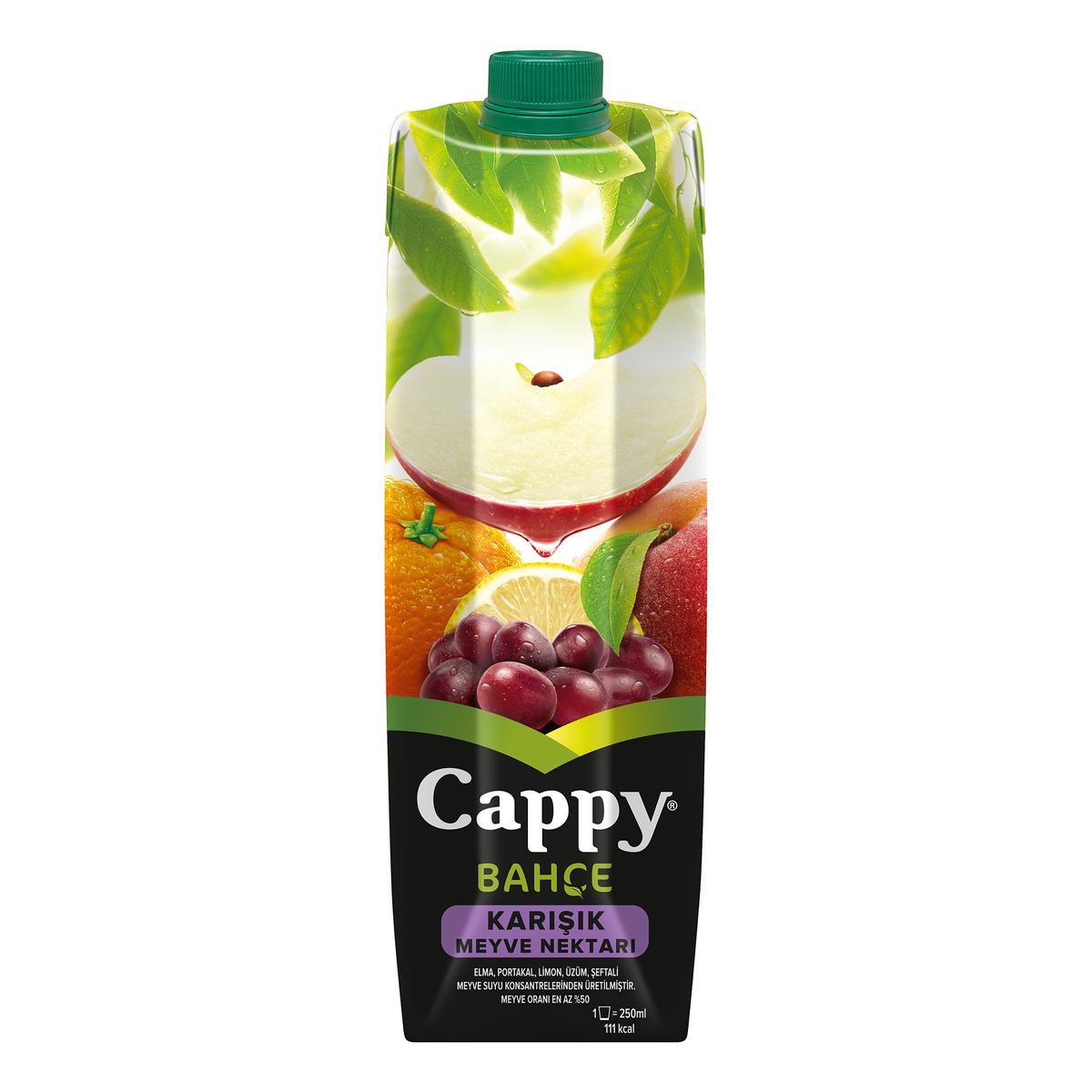 Cappy Karışık Meyve Nektarı 1 l 12'li Paket resmi