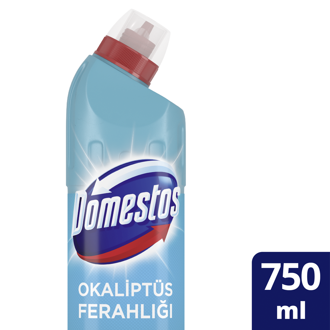 Domestos Çamaşır Suyu Okaliptus 750 ml resmi