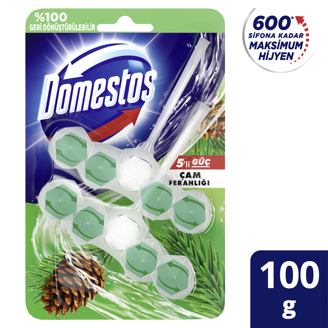 Domestos Wc Blok 5 G İkili Çam 100 gr resmi