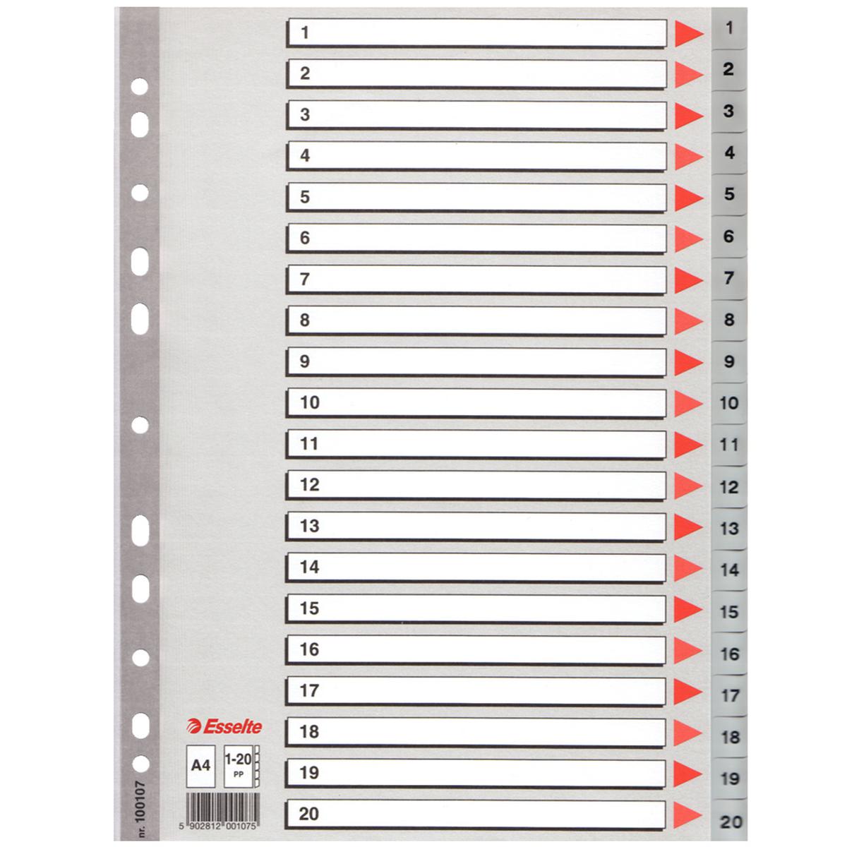 Esselte Seperatör A4 1-20 Rakamlı resmi